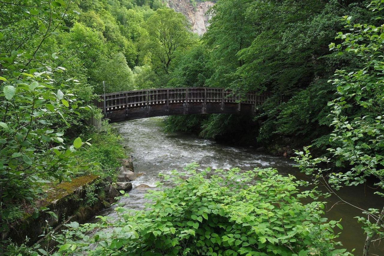 Biohof Laibacher Stubenberg Exterior foto